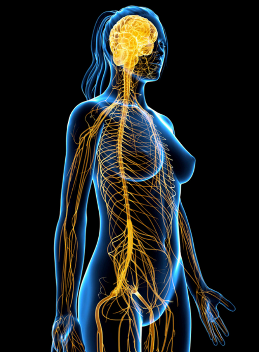 Impact of brain wave frequencies on key brain structures