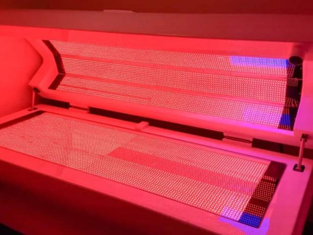 Alive LED Bed