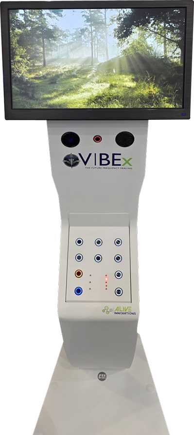 VIBEx Healing Bed